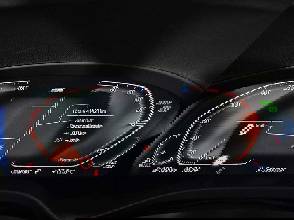 BMW X3 usata a Torino (15)