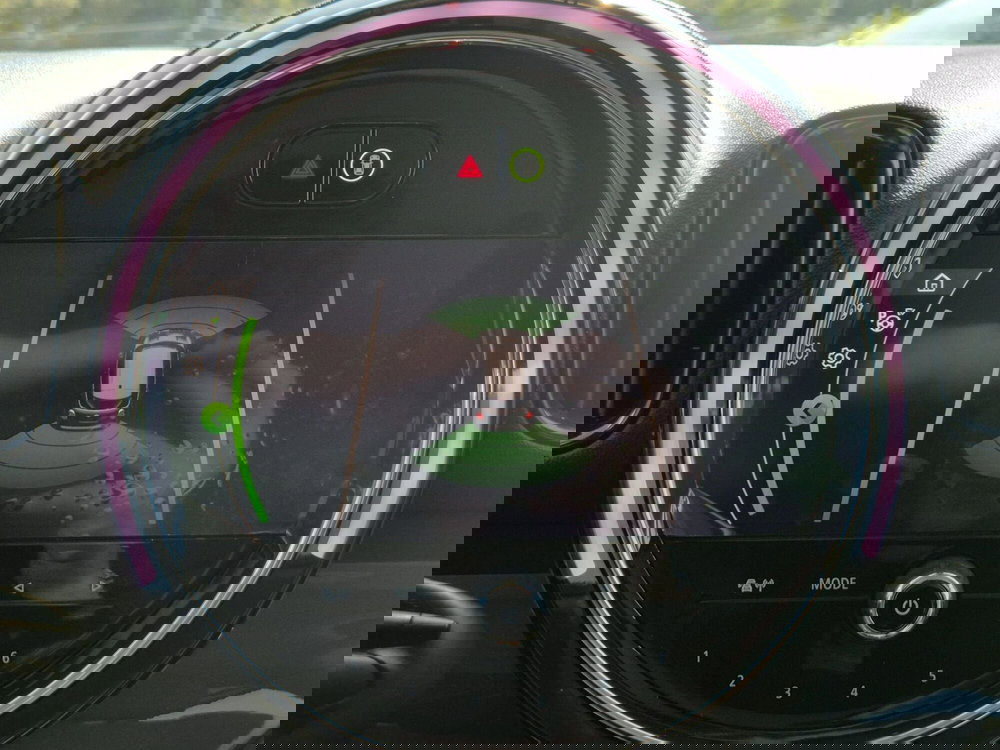 MINI Mini Countryman usata  (14)