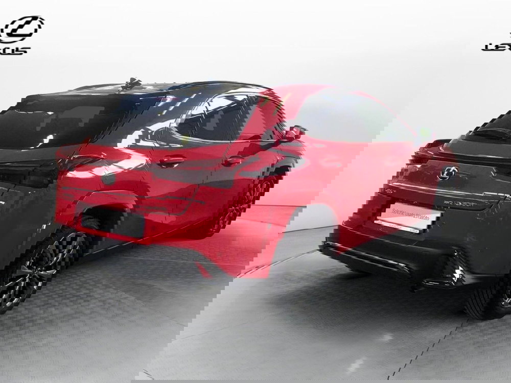 Lexus UX usata a Venezia (5)