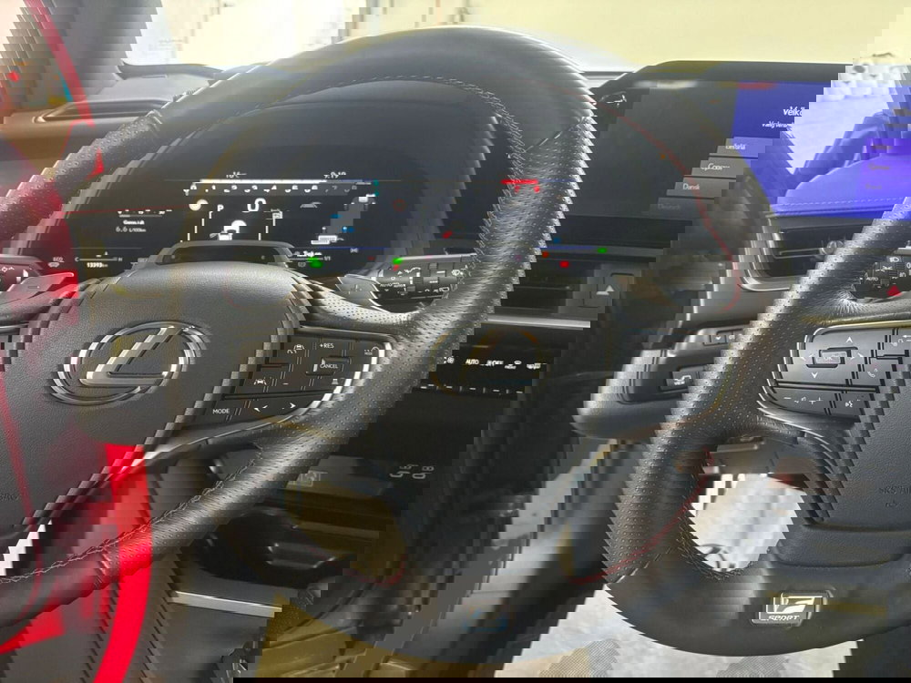 Lexus UX usata a Venezia (8)