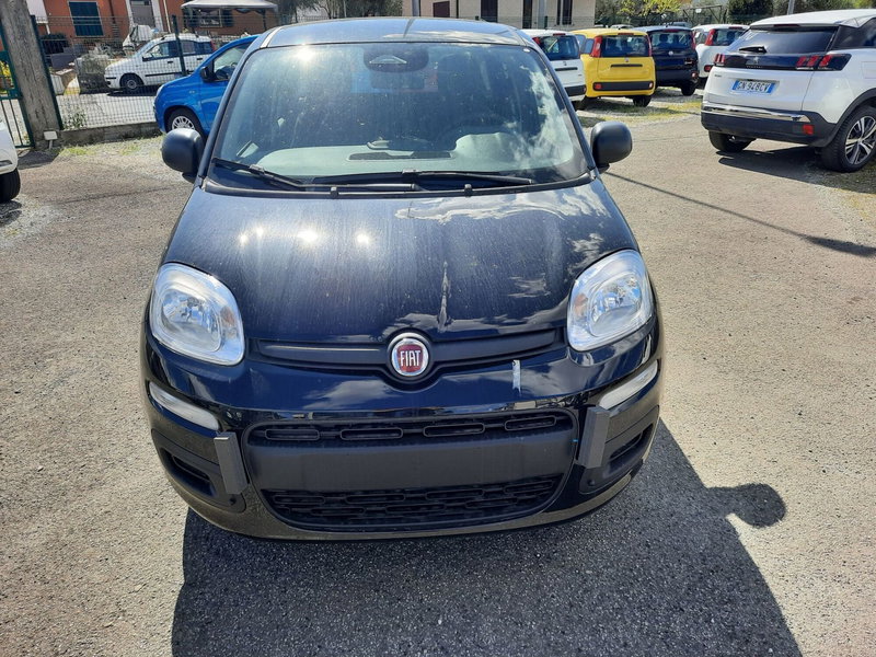 Fiat Pandina nuova a La Spezia (2)