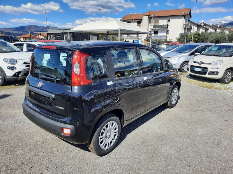 Fiat Pandina nuova a La Spezia (7)