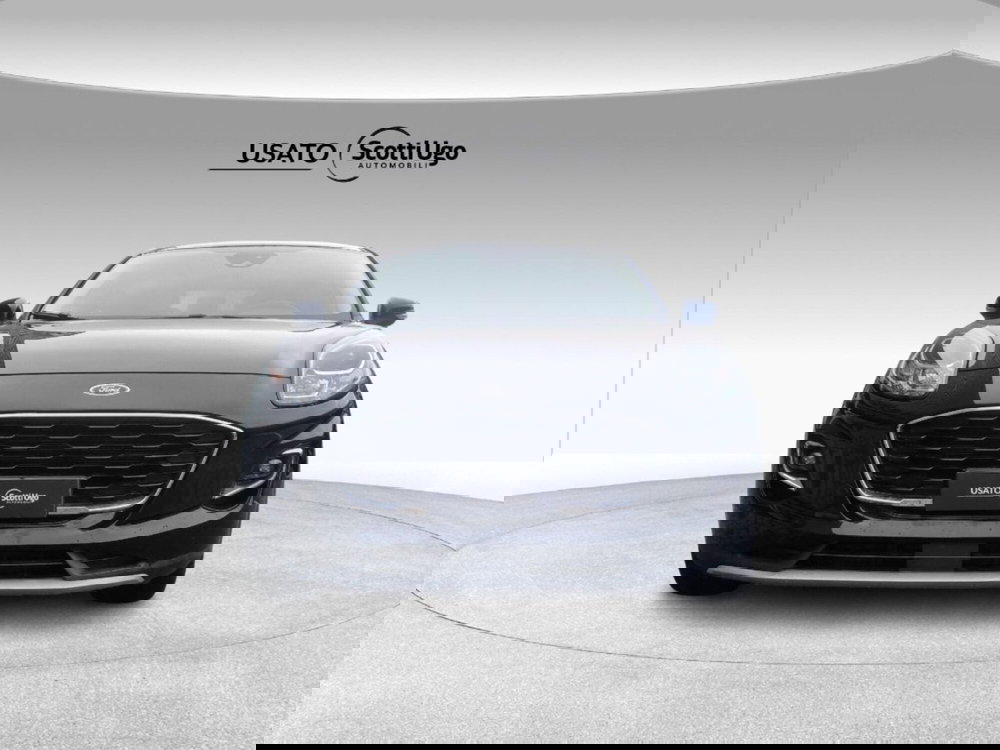 Ford Puma usata a Siena (2)