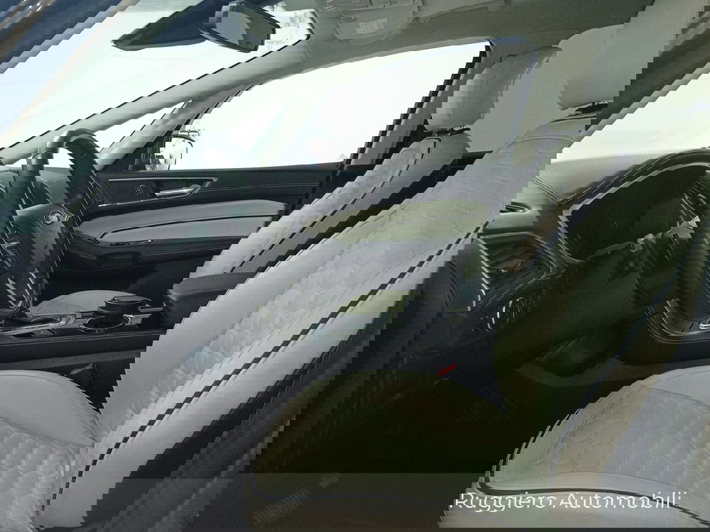 Ford S-Max usata a Catanzaro (10)