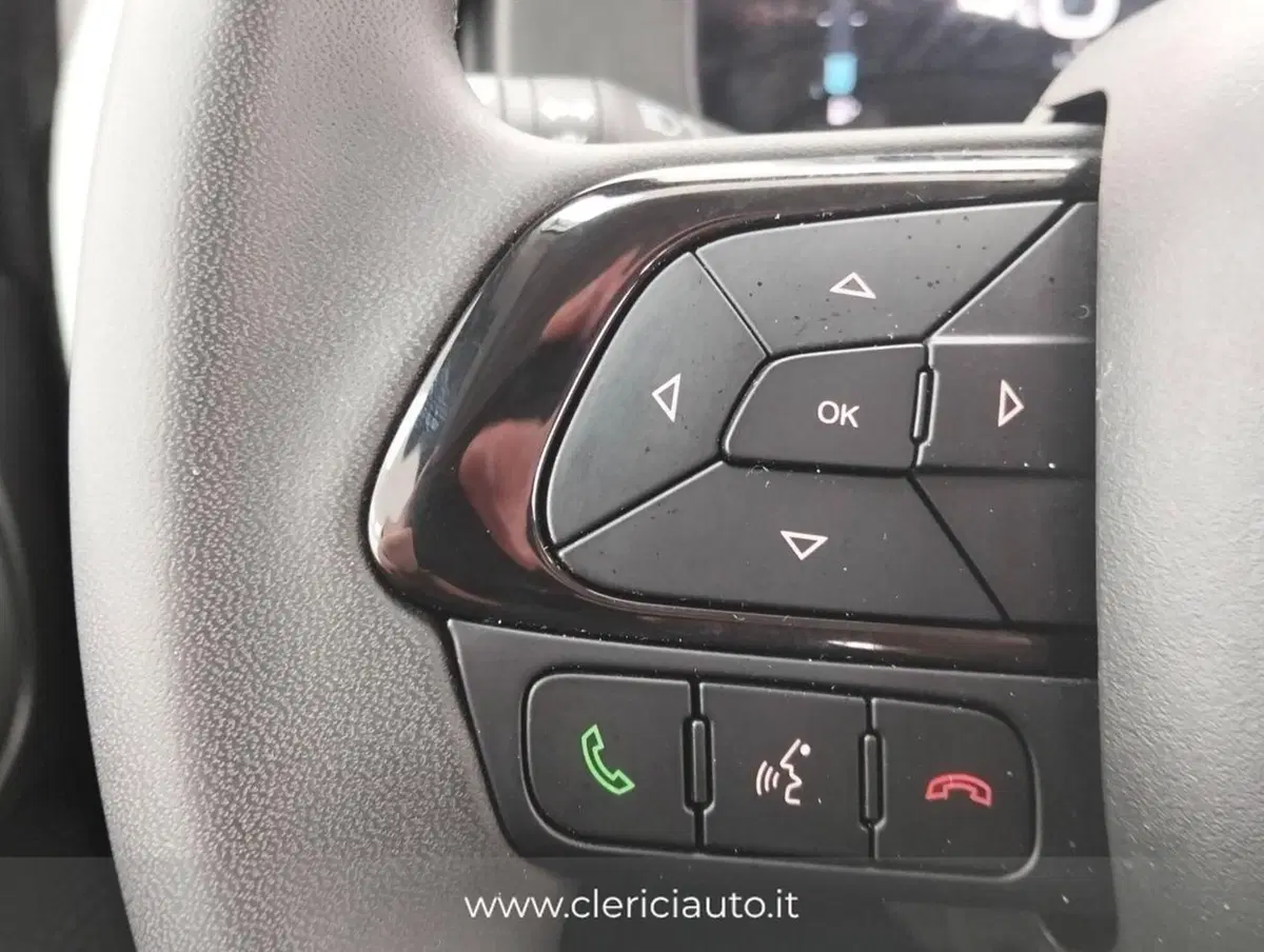 Fiat Panda Cross usata a Como (11)