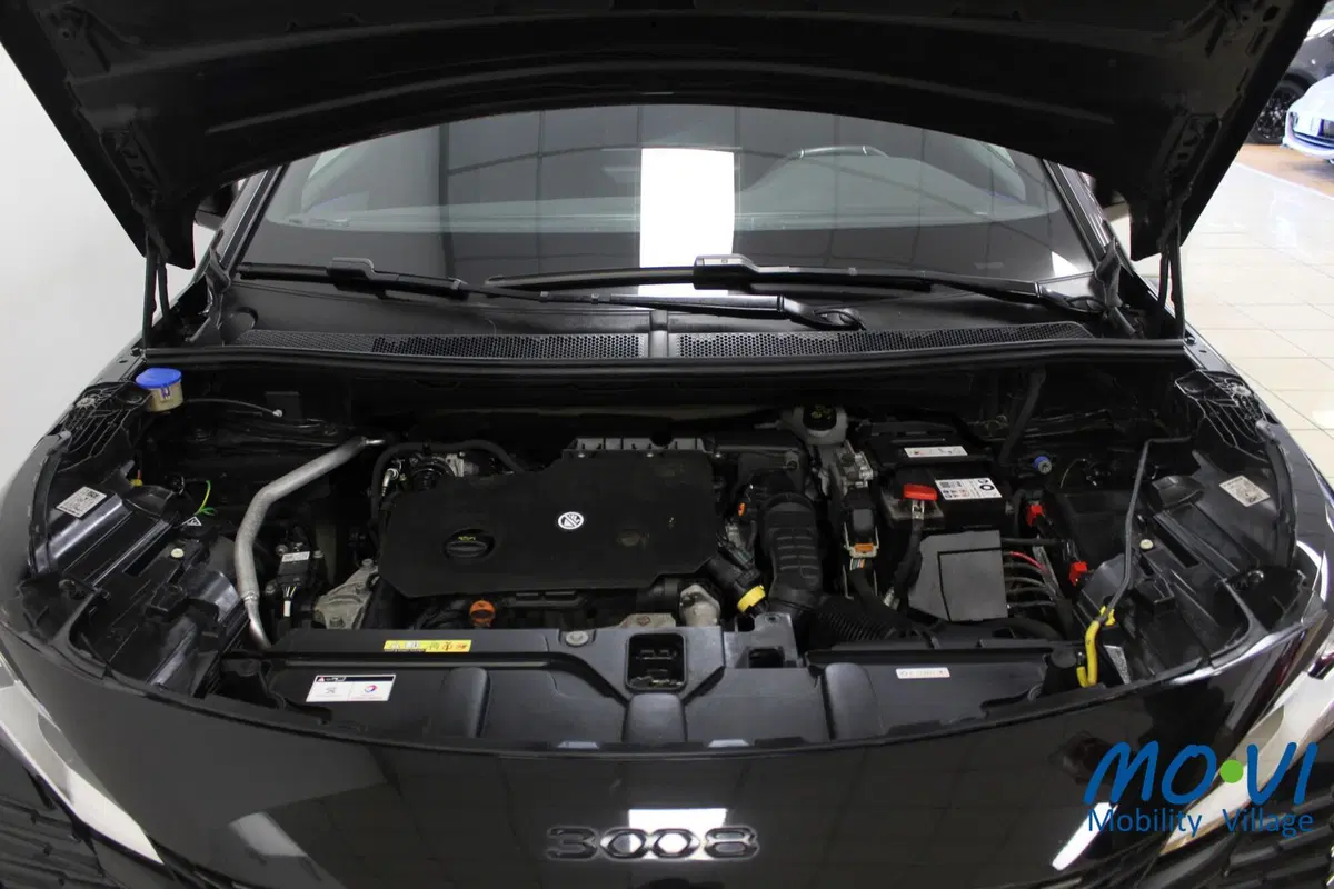 Peugeot 3008 usata a Torino (16)