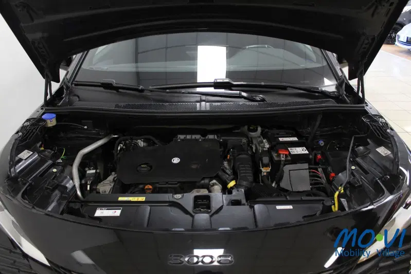 Peugeot 3008 usata a Torino (16)