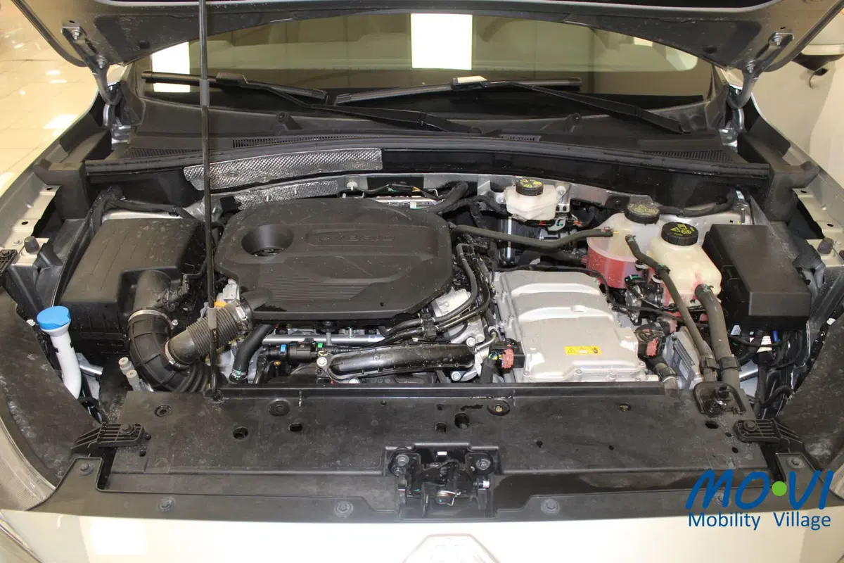 Mg ZS usata a Torino (10)