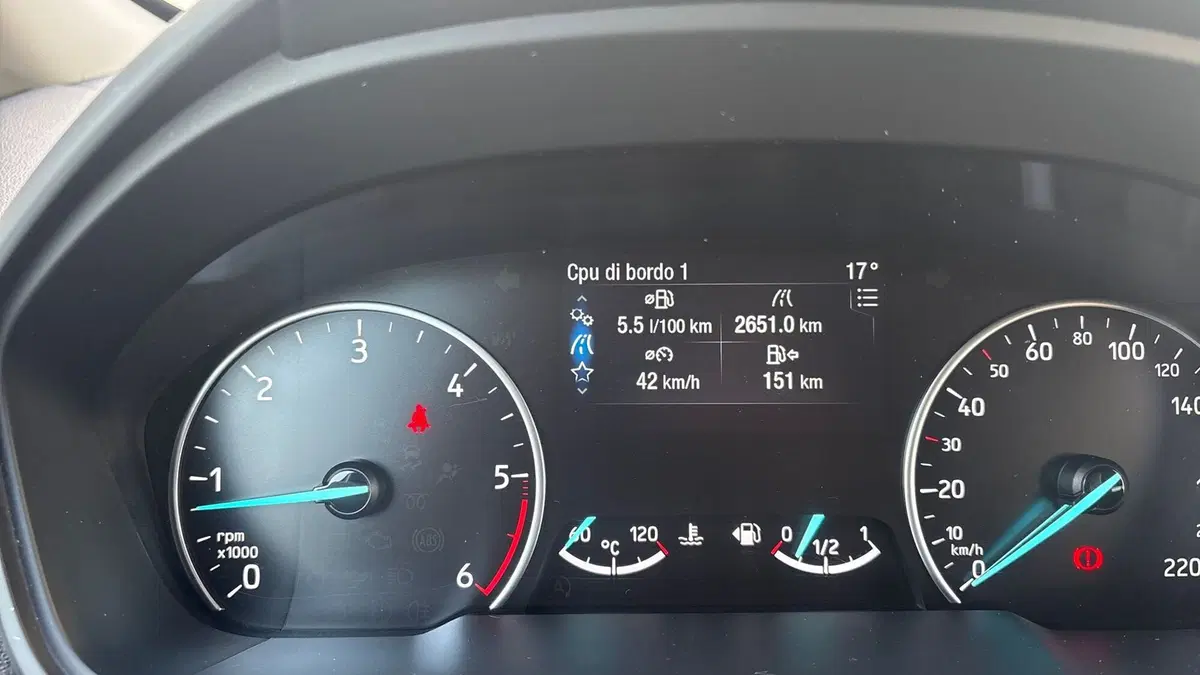 Ford EcoSport usata a Parma (10)