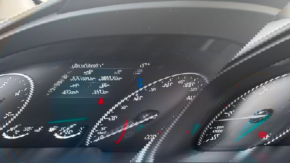 Ford EcoSport usata a Parma (10)