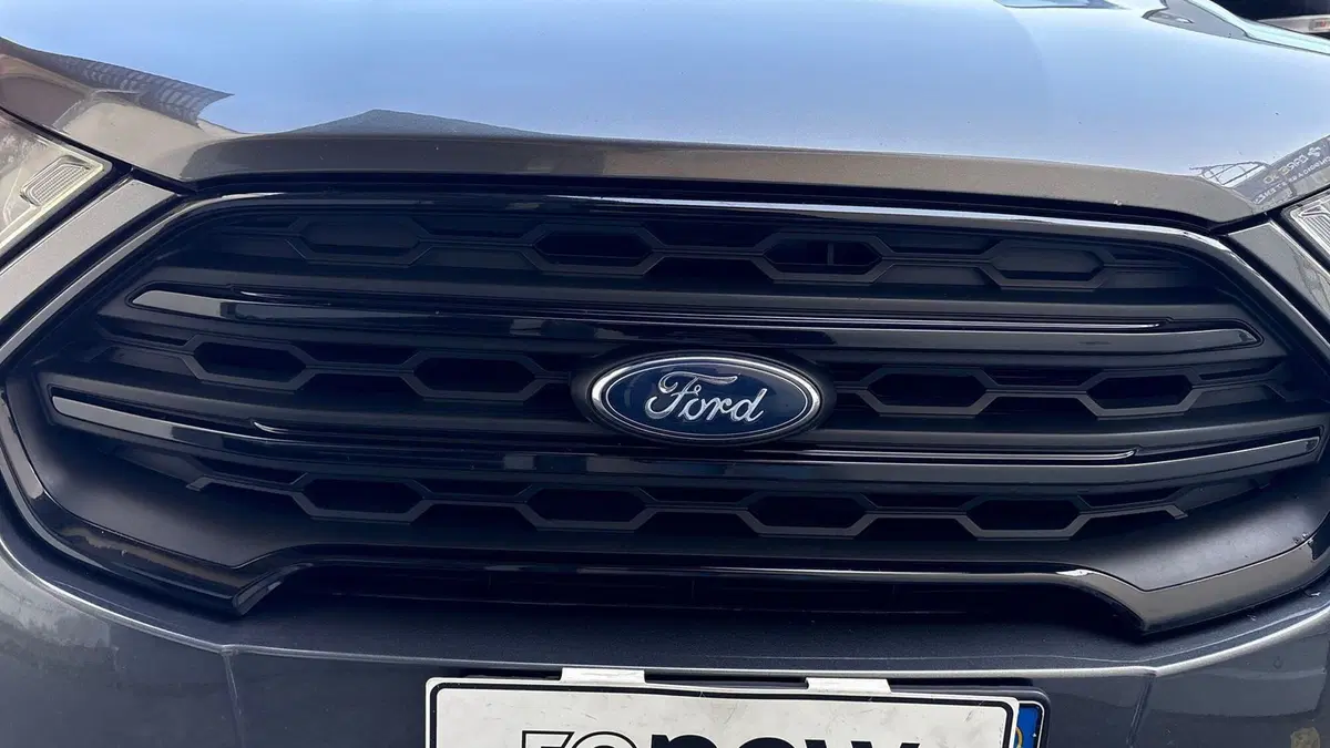 Ford EcoSport usata a Parma (14)