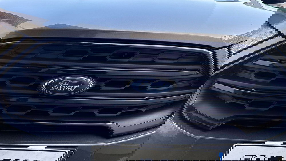 Ford EcoSport usata a Parma (14)