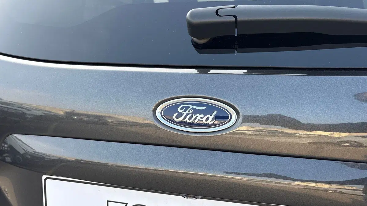 Ford EcoSport usata a Parma (19)