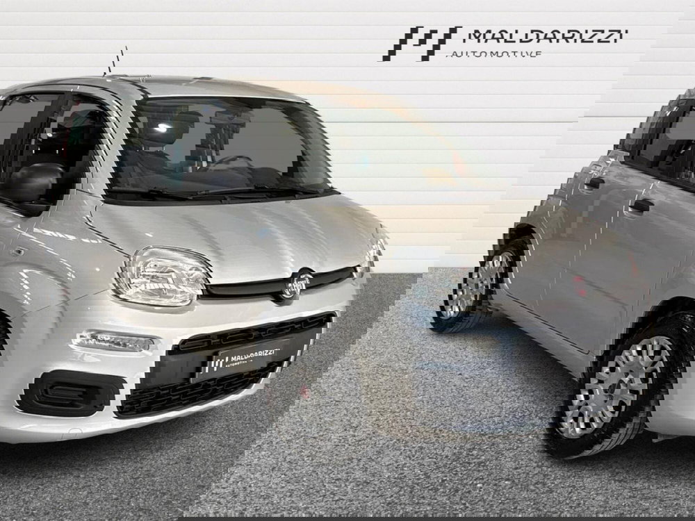Fiat Panda usata a Foggia