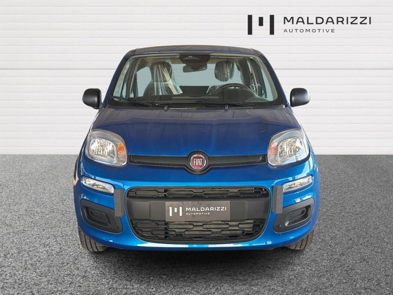 Fiat Pandina nuova a Bari (2)