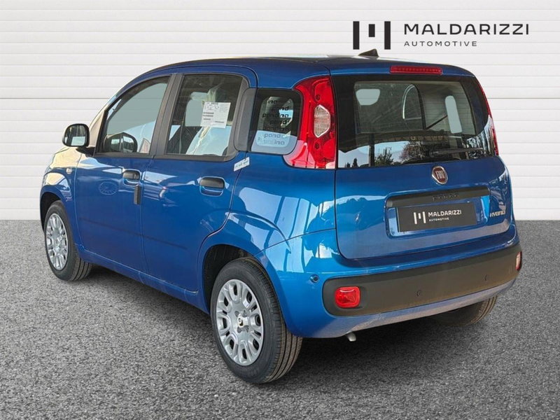 Fiat Pandina nuova a Bari (4)