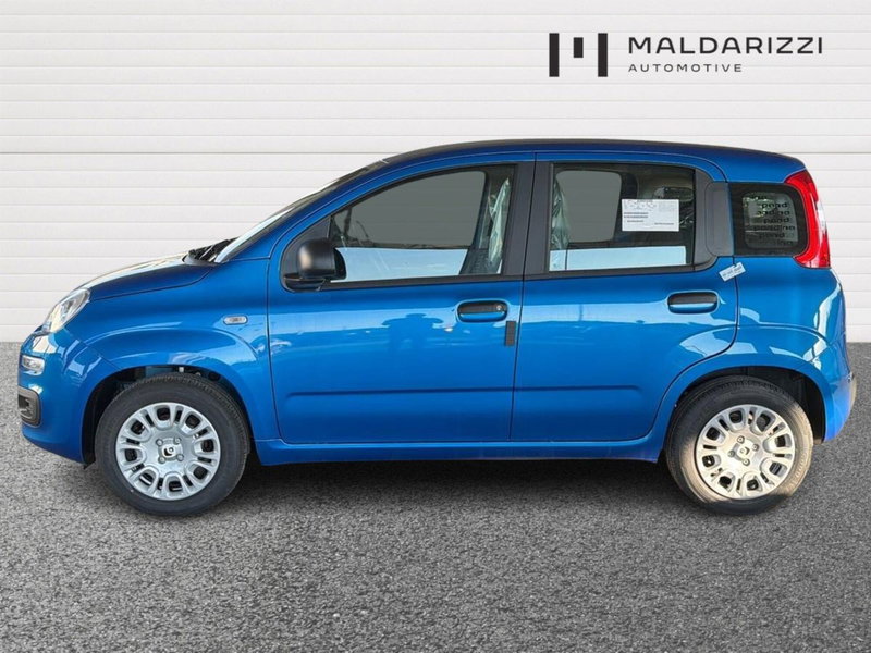 Fiat Pandina nuova a Bari (5)