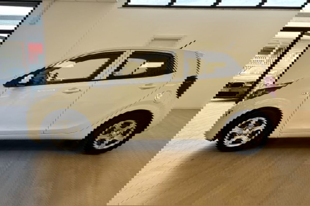 Kia Picanto usata a Latina (4)