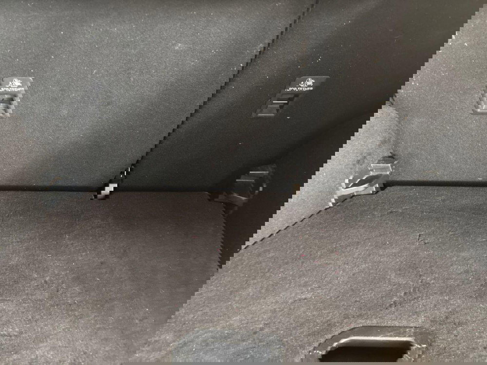 Ford EcoSport usata a Torino (10)