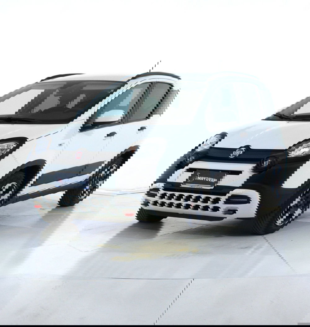 Fiat Panda Cross usata a Perugia