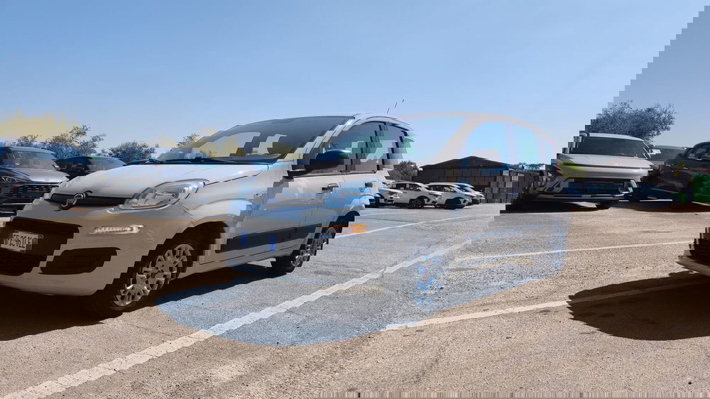 Fiat Panda usata a Firenze