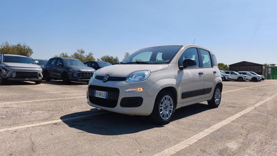 Fiat Panda 1.2 Easy del 2016 usata a Empoli