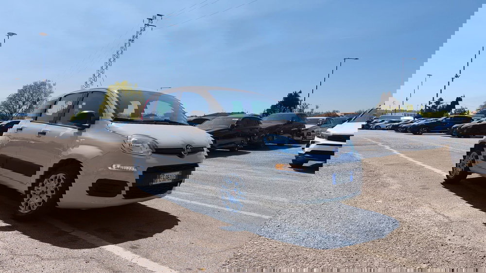 Fiat Panda usata a Firenze (13)