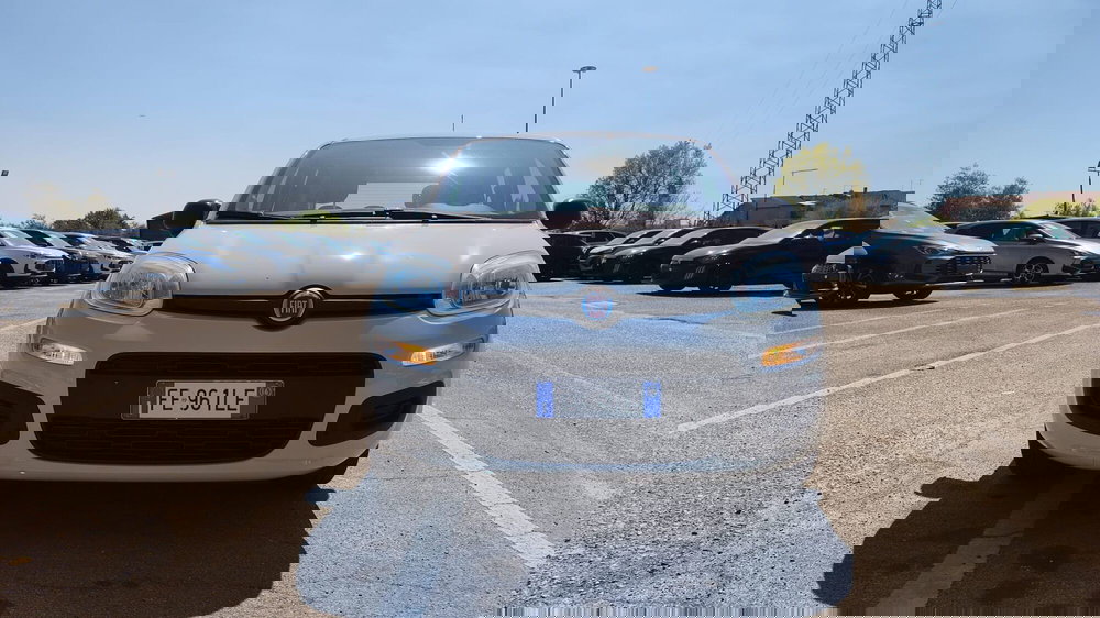 Fiat Panda usata a Firenze (14)