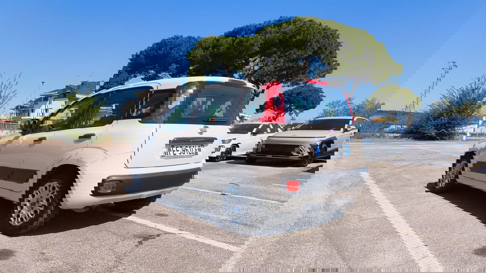 Fiat Panda usata a Firenze (6)