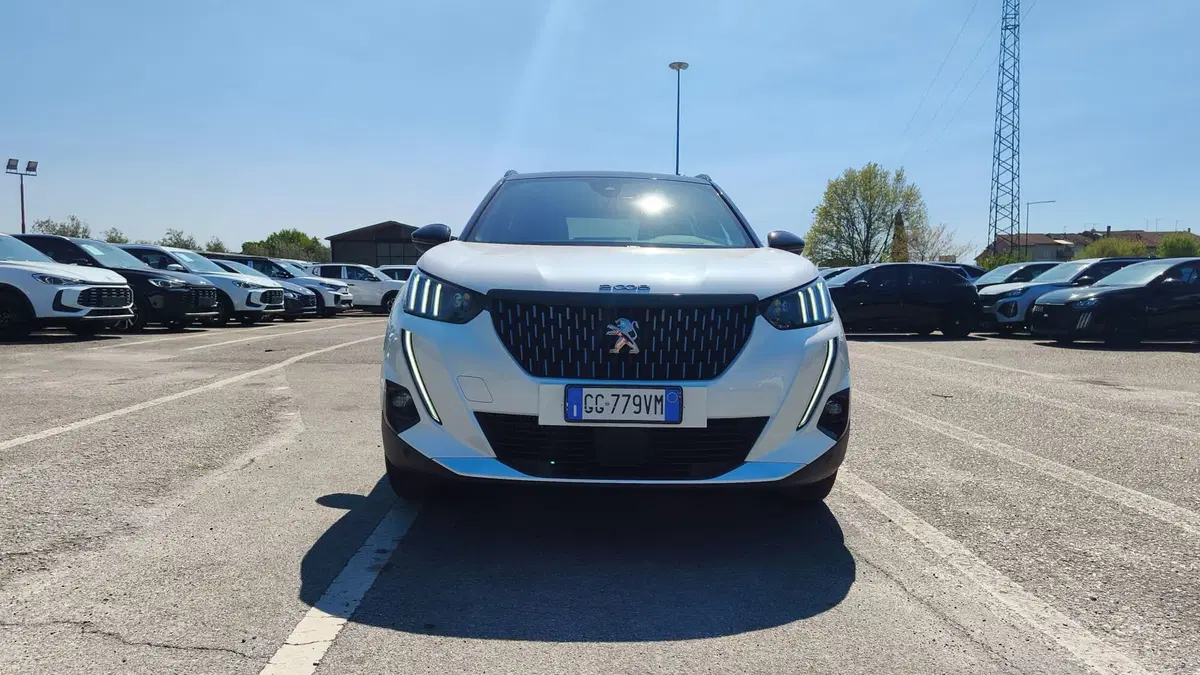 Peugeot 2008 usata a Firenze (14)