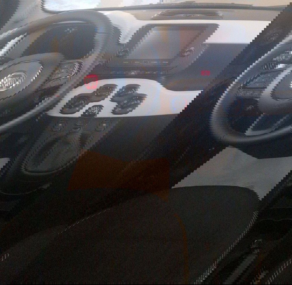 Fiat Panda Cross nuova a Terni (11)