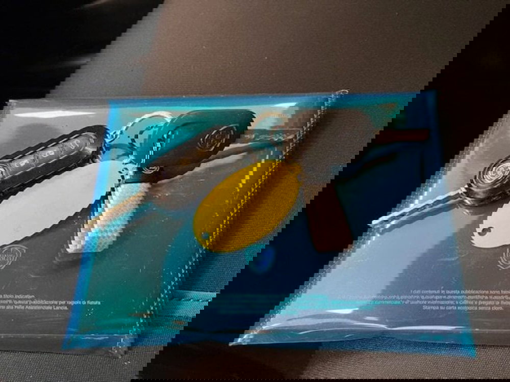 Lancia Ypsilon usata a Alessandria (16)