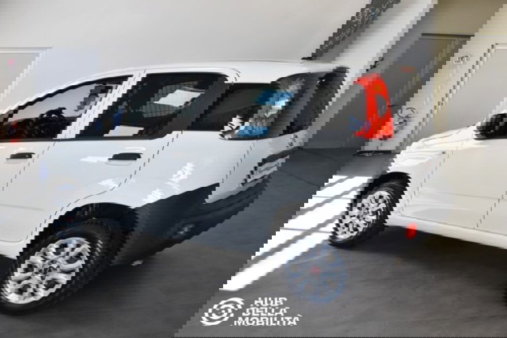 Fiat Panda usata a Perugia (4)