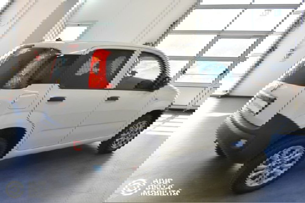 Fiat Panda usata a Perugia (7)