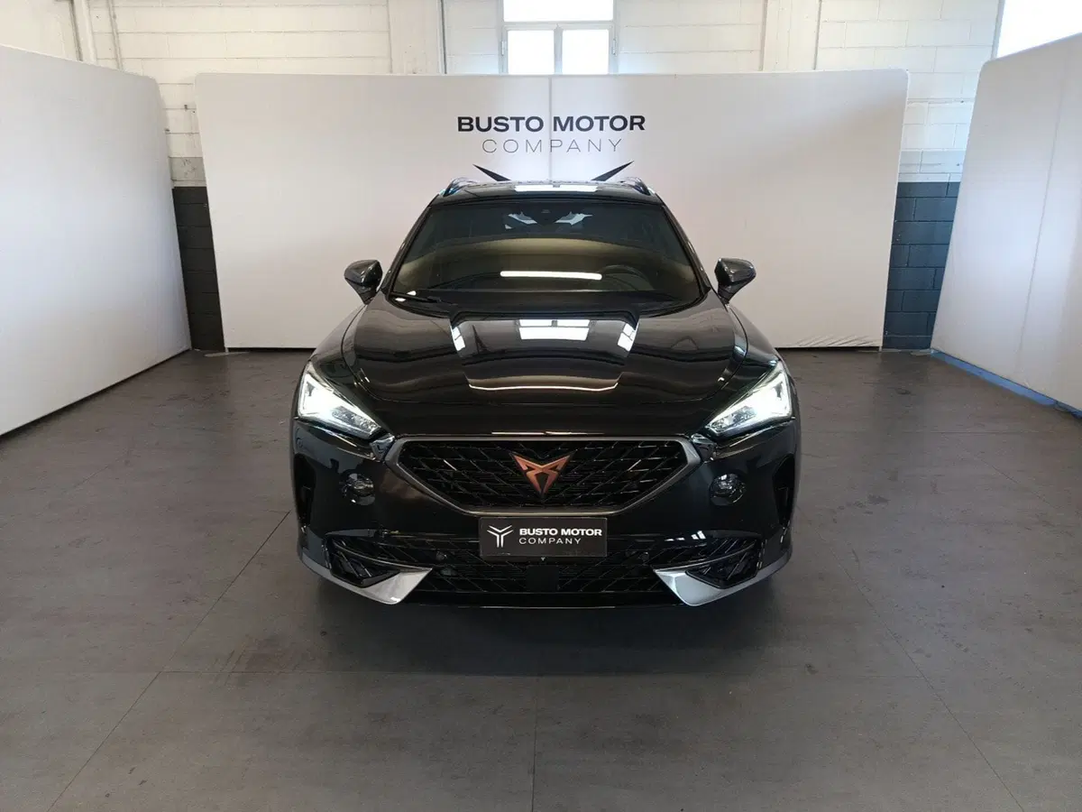 Cupra Formentor usata a Varese (2)