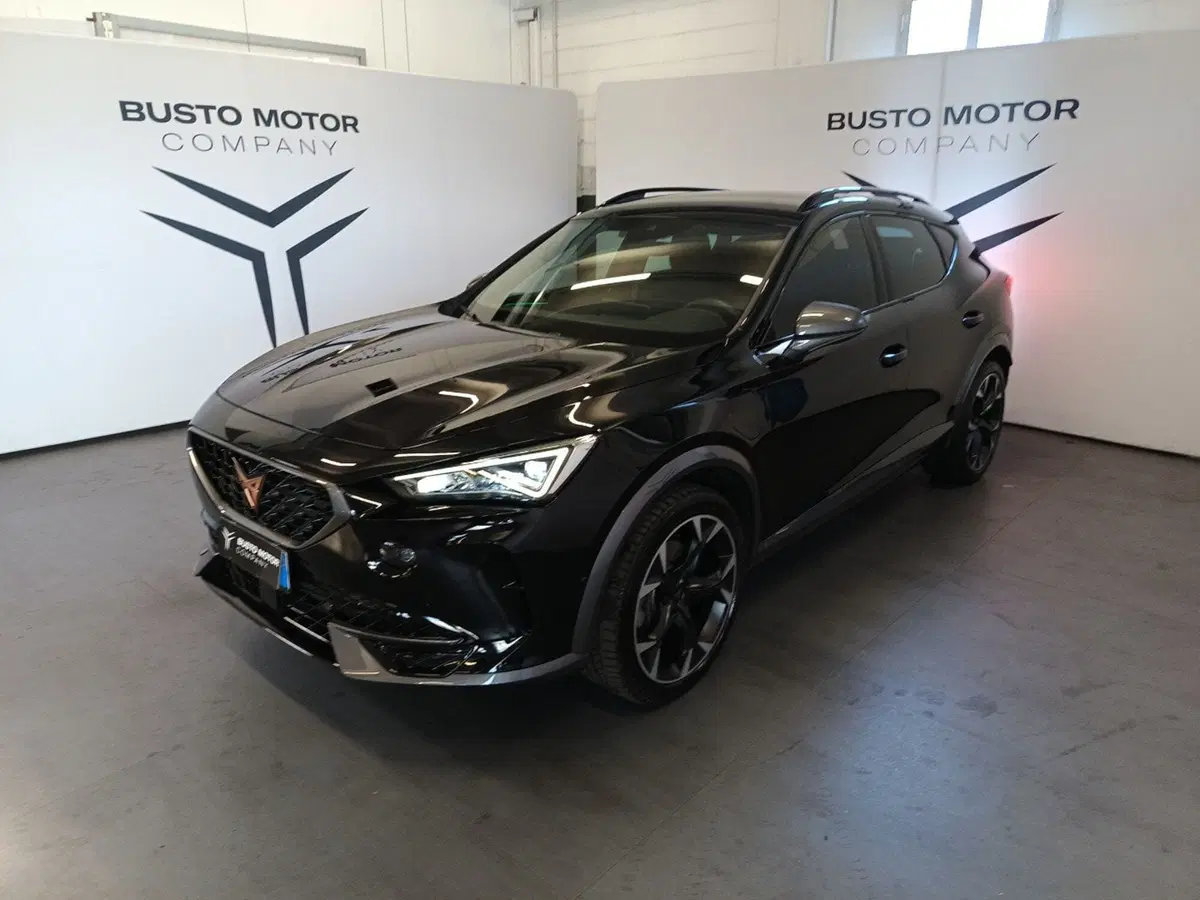 Cupra Formentor usata a Varese (3)
