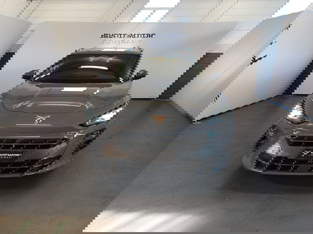 Cupra Terramar usata a Varese (2)