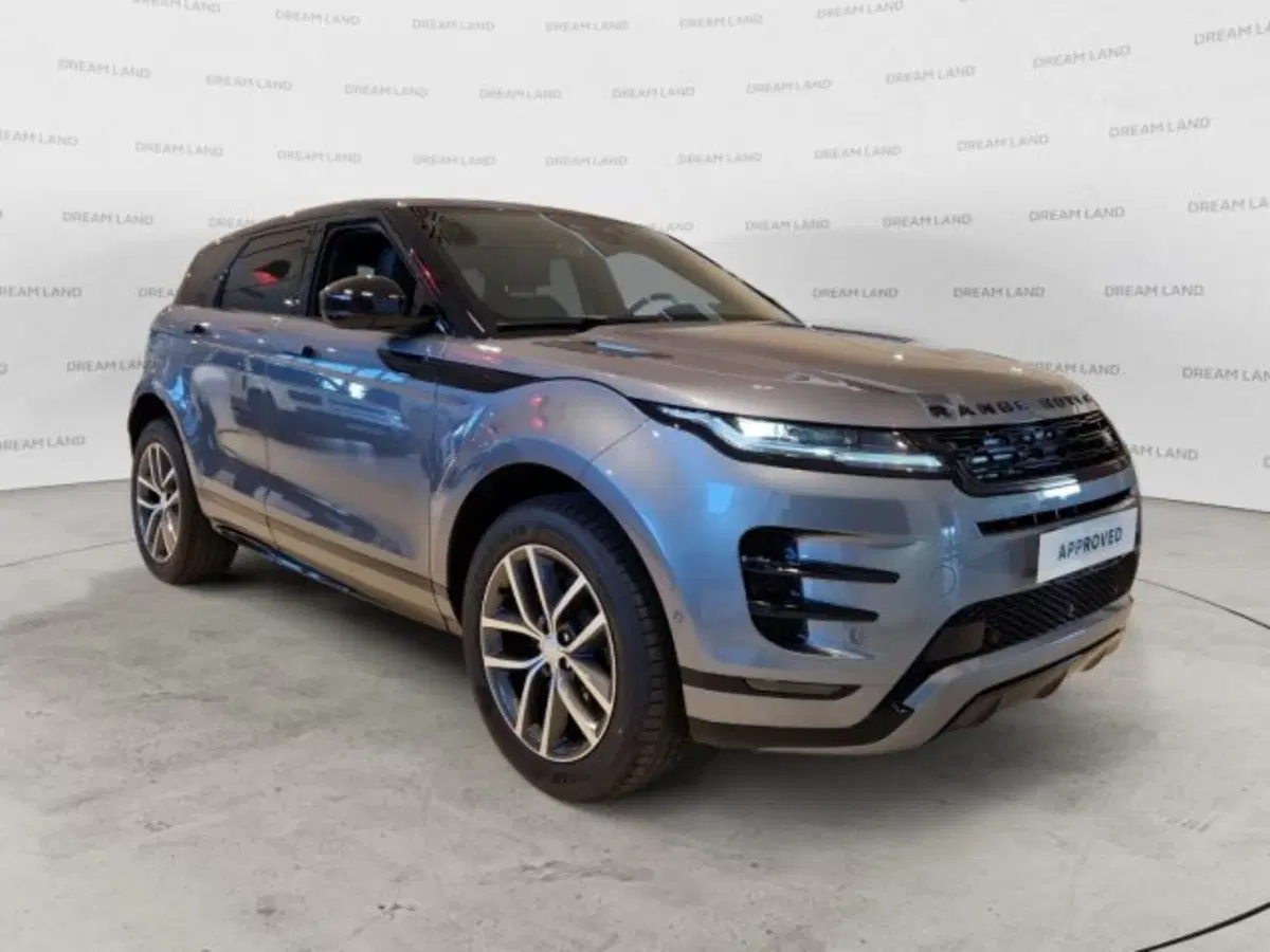 Land Rover Range Rover Evoque usata a Livorno (11)