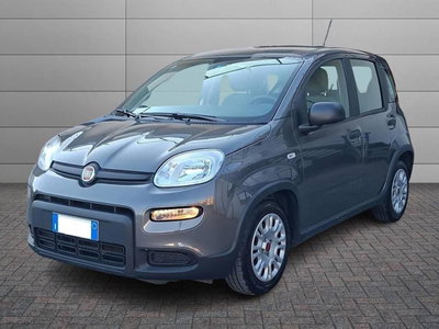 Fiat Panda 1.0 FireFly S&amp;S Hybrid City Cross del 2023 usata a Torino