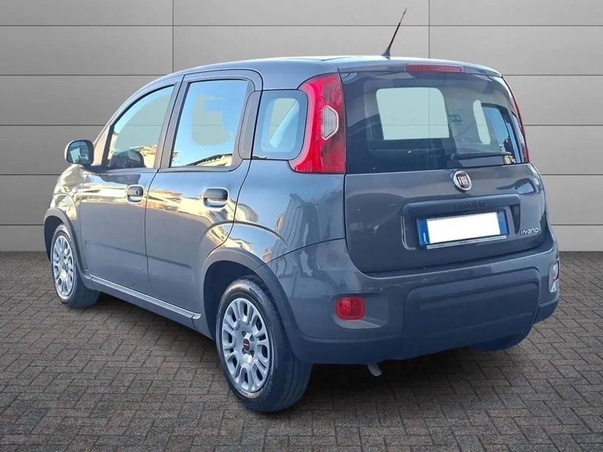 Fiat Panda usata a Torino (2)