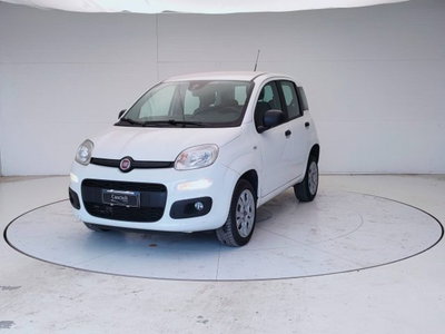 Fiat Panda 0.9 TwinAir Turbo Natural Power Easy del 2018 usata a Mosciano Sant'Angelo