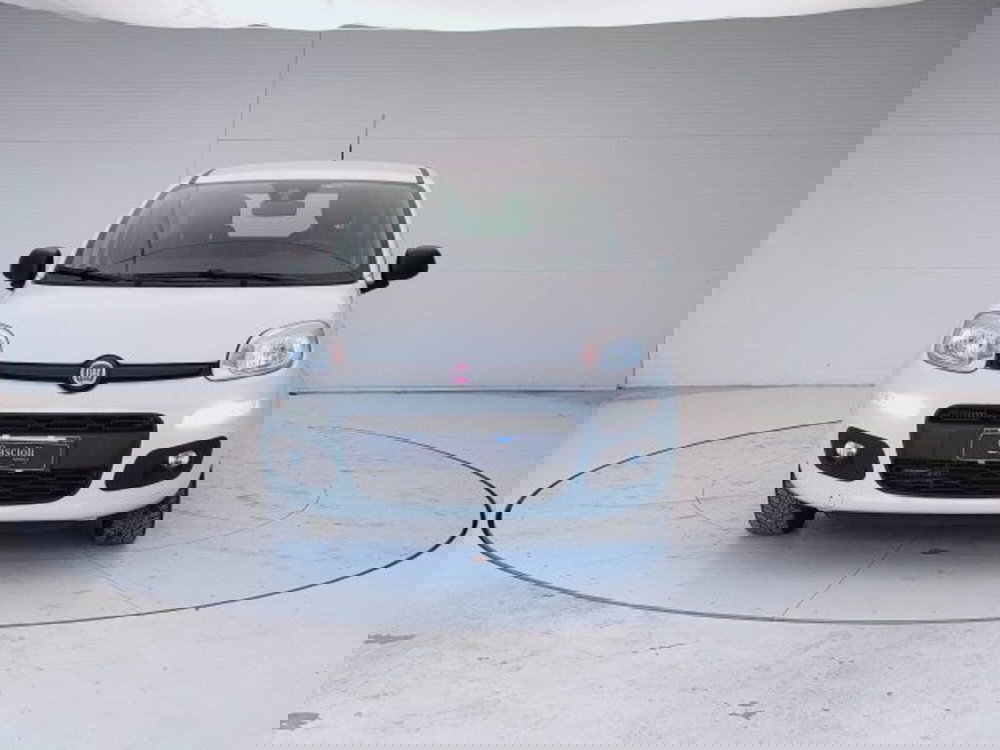 Fiat Panda usata a Teramo (2)