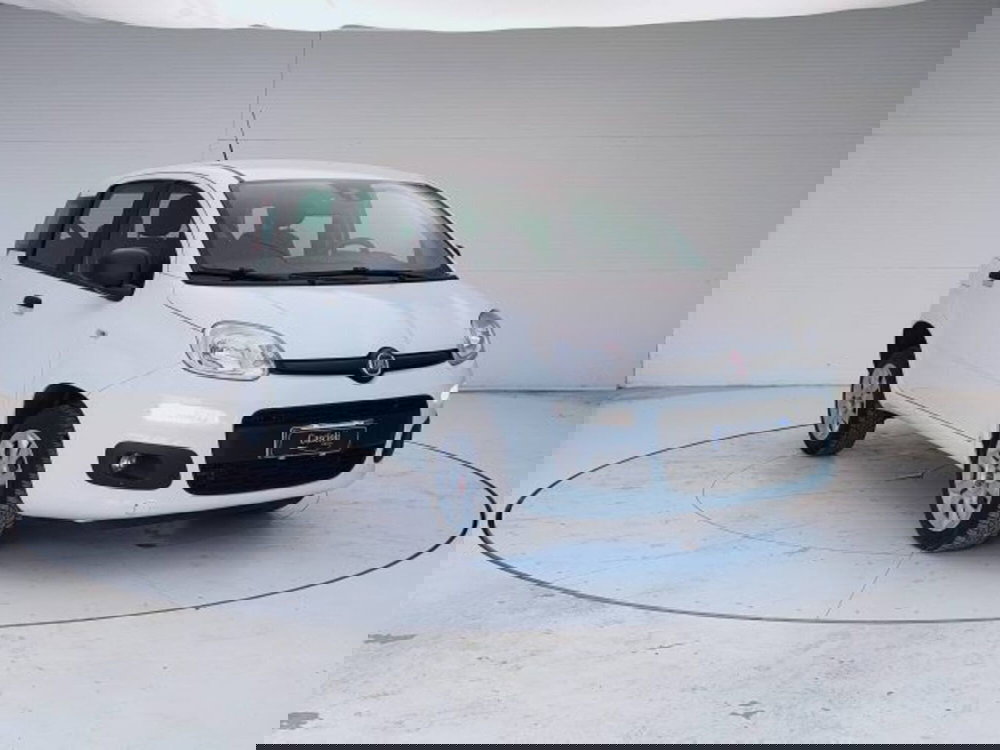 Fiat Panda usata a Teramo (3)