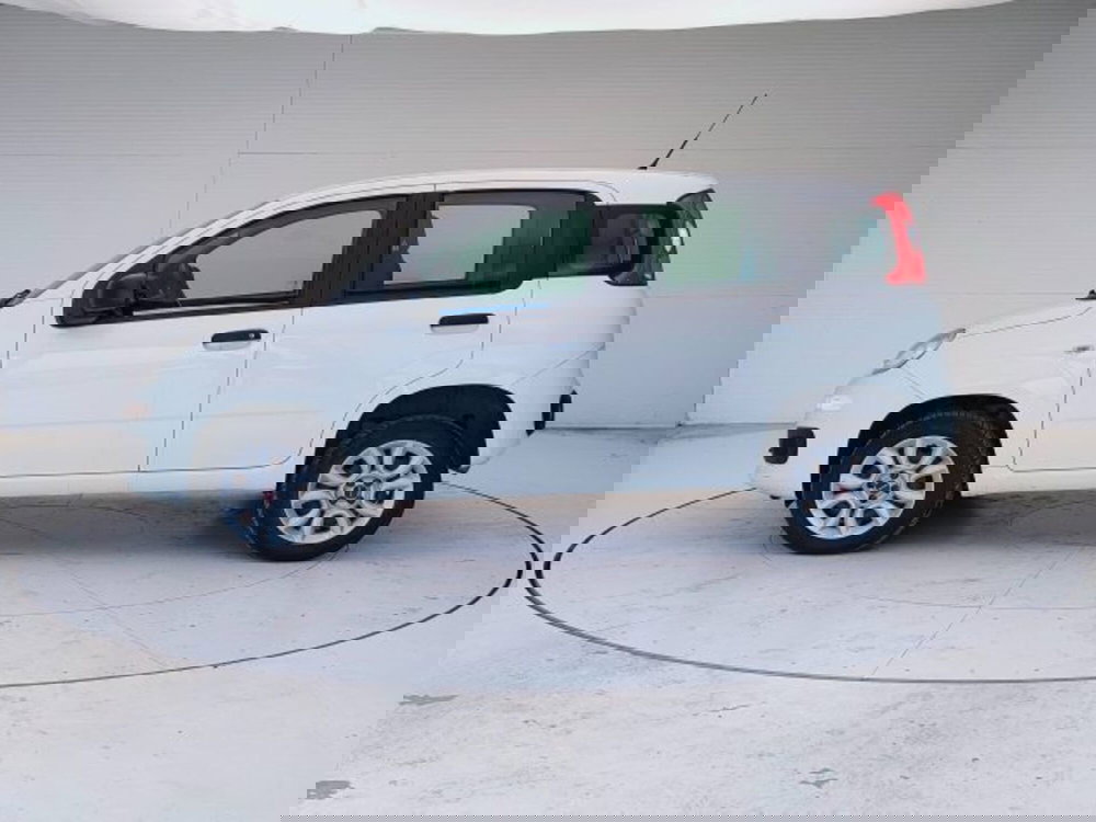 Fiat Panda usata a Teramo (4)