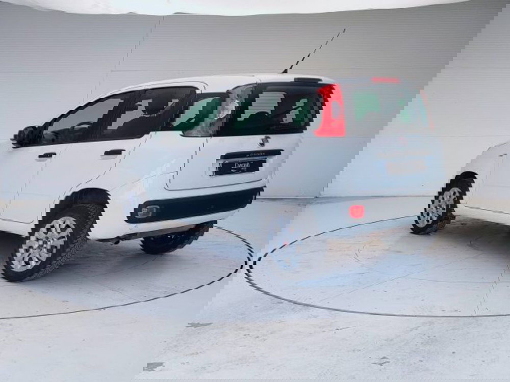 Fiat Panda usata a Teramo (5)