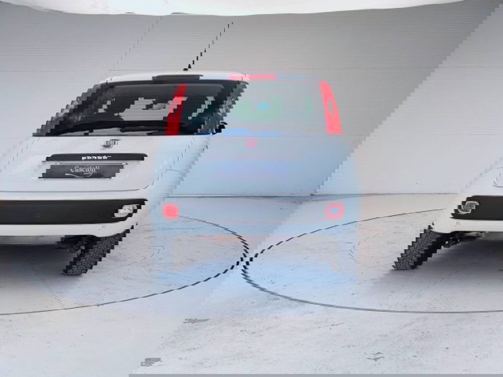 Fiat Panda usata a Teramo (6)