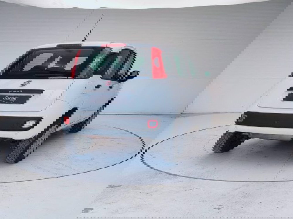 Fiat Panda usata a Teramo (7)