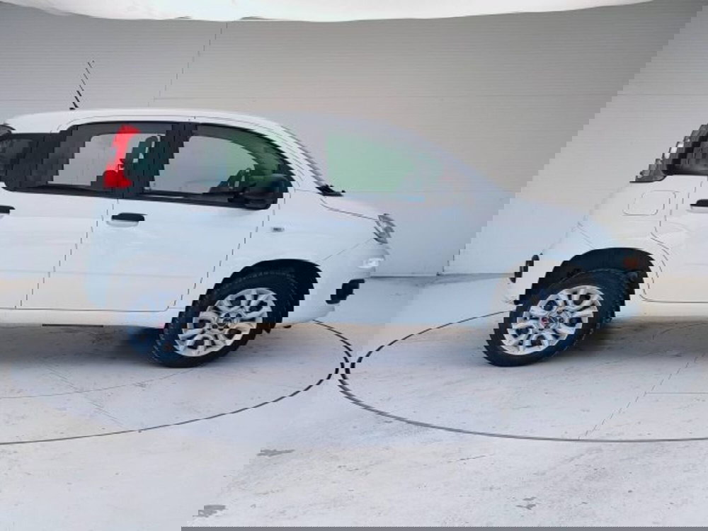 Fiat Panda usata a Teramo (8)