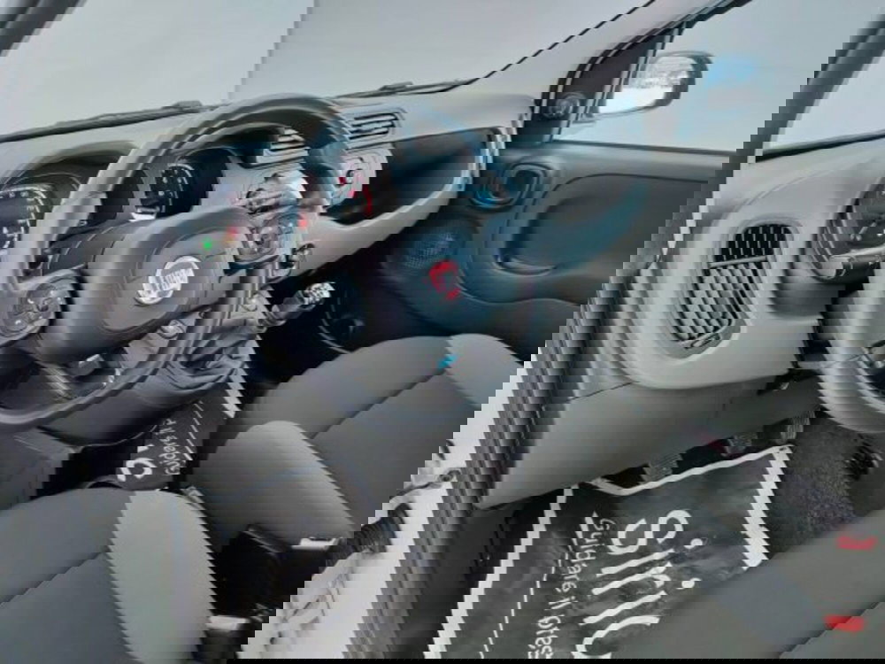 Fiat Panda usata a Teramo (13)