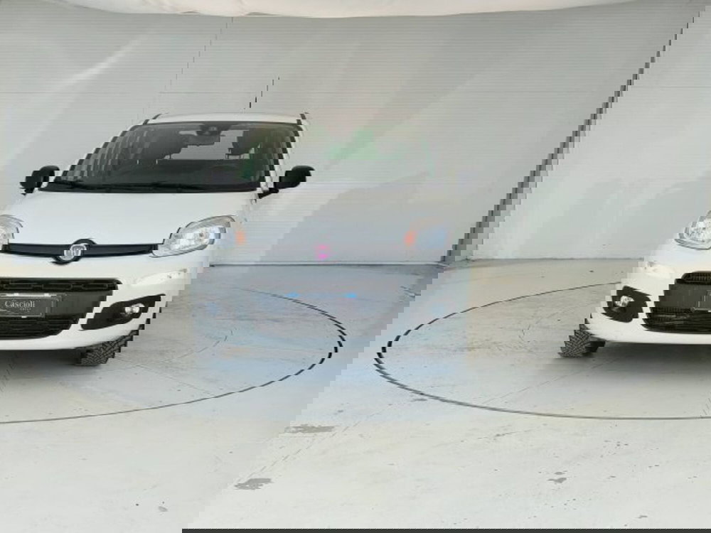 Fiat Panda usata a Teramo (2)